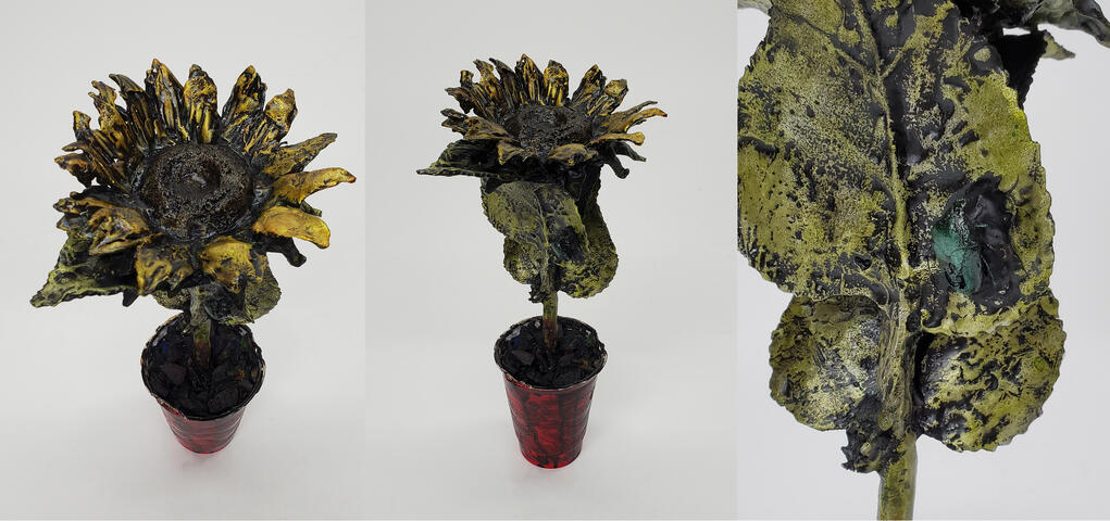 Sunflower (plus details)